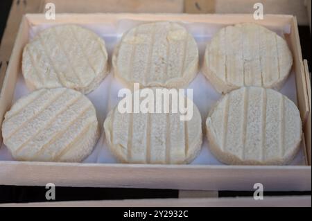 Rocamadour oder zarte Weichziege AOC-Käse mit weicher Rinde, hergestellt auf dem Bauernhof in Perigord und Quercy auf dem Bauernmarkt, Departement Partie in Frankreich Stockfoto