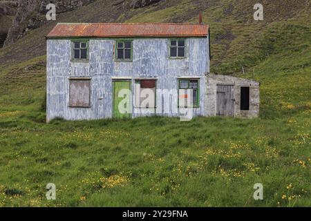 Altes baufälliges Haus auf einer Wiese, leer, Street Art, Djupivogur, Ostfjorde, Island, Europa Stockfoto