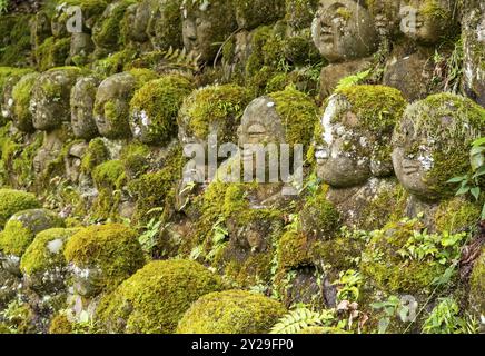 Moosbedeckte Steinstatuen von Rakanen, den Jüngern Buddhas, dem Otagi Nenbutsu-JI-Tempel, Kyoto, Japan, Asien Stockfoto