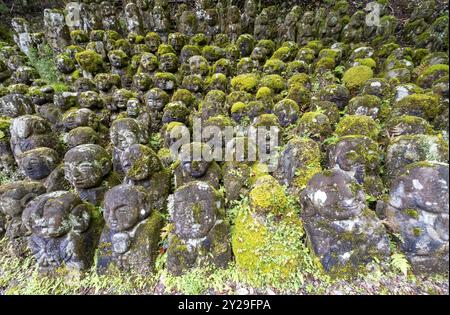 Moosbedeckte Steinstatuen von Rakanen, den Jüngern Buddhas, dem Otagi Nenbutsu-JI-Tempel, Kyoto, Japan, Asien Stockfoto