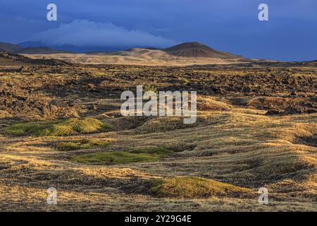 Großes Lavafeld und Vulkankrater in der Mitternachtssonne, Wolken, Stimmung, Burfellshraun, Myvatn, Nord-Island, Island, Europa Stockfoto