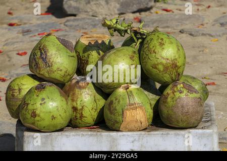 Nahaufnahme frischer grüner Kokosnüsse, die auf einem Markt in der historischen Stadt Paraty, Brasilien, UNESCO-Weltkulturerbe, Südamerika, verkauft werden können Stockfoto