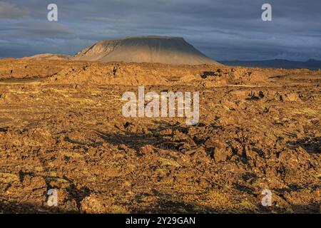 Großes Lavafeld und Vulkankrater in der Mitternachtssonne, Wolken, Stimmung, Burfellshraun, Myvatn, Nord-Island, Island, Europa Stockfoto