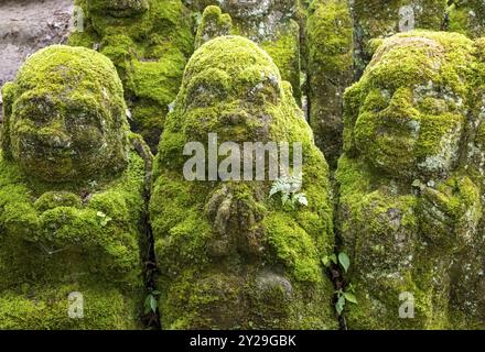 Moosbedeckte Steinstatuen von Rakanen, den Jüngern Buddhas, dem Otagi Nenbutsu-JI-Tempel, Kyoto, Japan, Asien Stockfoto