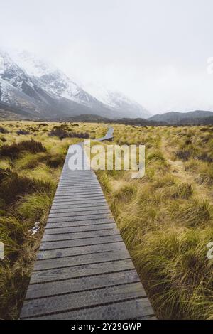 Holzsteg durch eine Landschaft umgeben von Gras mit schneebedeckten Bergen im Hintergrund, Hooker Valley Track, Neuseeland, Ozeanien Stockfoto