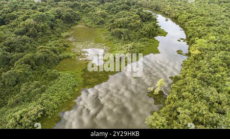 Ariel Blick auf einen typischen Pantanal-Fluss mit Wiese, Lagune und dichtem Wald im Licht des späten Nachmittags, Pantanal Feuchtgebiete, Mato Grosso, Brasilien, Südamerika Stockfoto