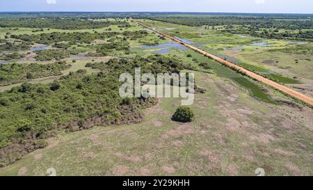 Luftaufnahme von Transpantaneira durch die typische Landschaft der Pantanal Feuchtgebiete, Mato Grosso, Brasilien, Südamerika Stockfoto