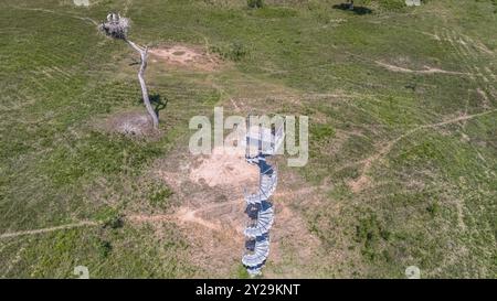 Luftaufnahme eines Jabirus-Nestes mit Jungvögeln und einem Aussichtsturm auf einem grünen Feld, Pantanal Feuchtgebiete, Mato Grosso, Brasilien, Südamerika Stockfoto