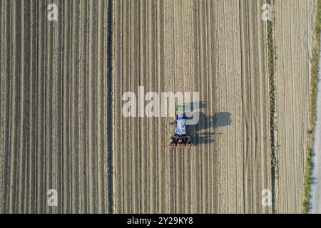Luftaufnahme eines Traktors, der eine automatische Tomatenpflanzmaschine zieht, die auf einem Feld arbeitet, Setzlinge pflanzt und Bewässerungsrohre ablegt Stockfoto