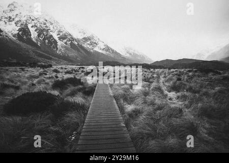 Langer Holzweg durch grasbewachsene Landschaft mit schneebedeckten Bergen im Hintergrund in Schwarz-weiß, Hooker Valley Track, Neuseeland, Oceani Stockfoto