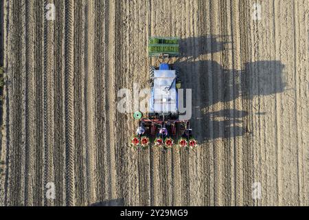 Luftaufnahme eines Traktors, der eine automatische Tomatenpflanzmaschine zieht, die auf einem Feld arbeitet, Setzlinge pflanzt und Bewässerungsrohre ablegt Stockfoto