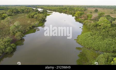 Ariel Blick auf einen typischen Pantanal Fluss mit Wiese, Lagune und dichtem Wald, Pantanal Feuchtgebiete, Mato Grosso, Brasilien, Südamerika Stockfoto