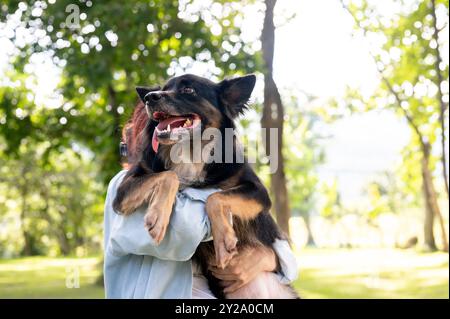 Eine Frau, die ihren Hund in den Armen hält, während sie durch einen grünen Park geht, ihr Haustier umarmt und gemeinsam einen lustigen Outdoor-Moment genießt. Tier, Tier, am besten Stockfoto