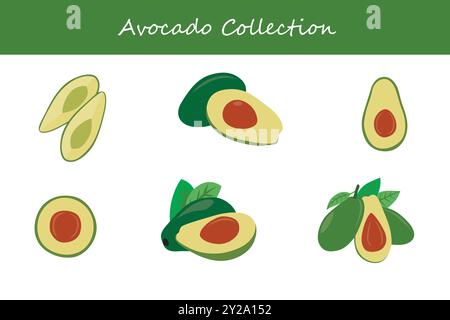 Avocadokollektion in verschiedenen Posen. Vektorabbildung. Stock Vektor