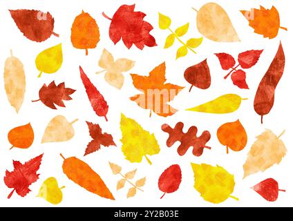 Herbstlaub in verschiedenen Formen und Arten von Bäumen. Farbstifte. Konturstruktur. Weißer Hintergrund. Pfirsichfarben, gelb, orange, rot, braun. Dif Stockfoto