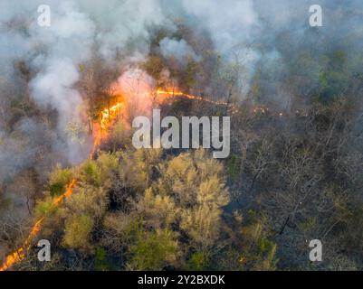 Klimawandel, tropische Waldbrände setzen Kohlendioxidemissionen (CO2) frei, die zum Klimawandel und zur globalen Erwärmung beitragen. Stockfoto