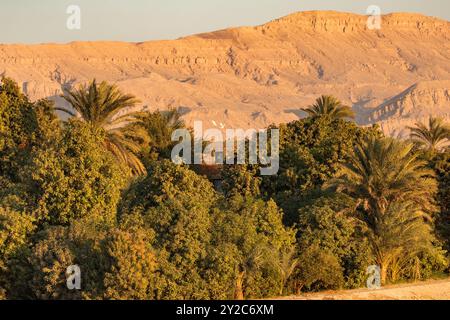 Diese Landschaft zeigt den spektakulären Kontrast zwischen dem fruchtbaren Niltal und der umliegenden Wüste. Hoch aufragende Berge und Sanddünen Stockfoto