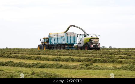 Erntesilage, Cherry Willingham, Lincoln, Lincolnshire, England, UK Stockfoto