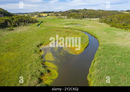 Aus der Vogelperspektive auf einen Süßwasserbach, der sich durch saftig grüne Feuchtgebiete in Port Campbell an der Great Ocean Road in Victoria, Australien schlängelt. Stockfoto