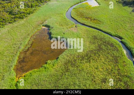 Aus der Vogelperspektive auf einen Süßwasserbach, der sich durch saftig grüne Feuchtgebiete in Port Campbell an der Great Ocean Road in Victoria, Australien schlängelt. Stockfoto