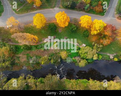 Aus der Vogelperspektive sehen Sie Wanderwege neben einem Fluss mit goldenen Herbstbäumen in Warburton im Yarra Valley von Victoria, Australien Stockfoto