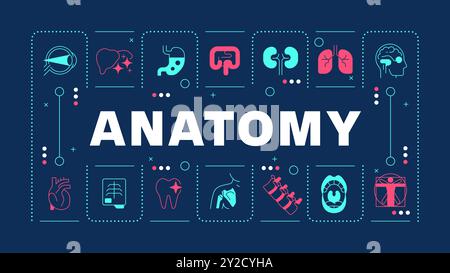 Anatomie dunkelblaues Wort-Konzept Stock Vektor