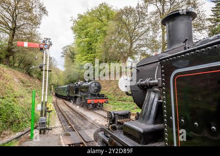 BR '7F' 2-8-0 No. 53808 passiert BR '2MT' 2-6-2T No. 41312 in Medstead auf der Mid-Hants Railway, Hampshire, England, Großbritannien Stockfoto