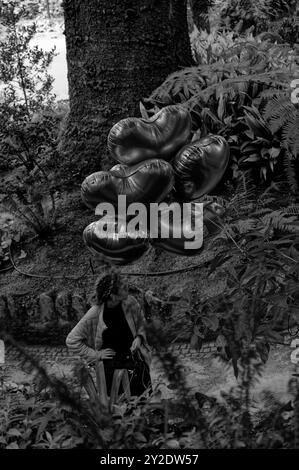 Monochrom einer Frau mit einer Gruppe herzförmiger Ballons, die vor einer üppigen Gartenkulisse in Quinta da Regaleira schweben Stockfoto