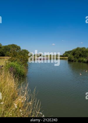 Blick auf den Themsepfad und die Themse, Stanton Harcourt, Oxfordshire, England, Großbritannien, GB Stockfoto
