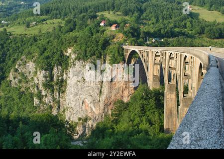 Brücke über den Fluss Tara in Montenegro Canyon Fluss Hügel Wälder Vegetation Natur Stockfoto