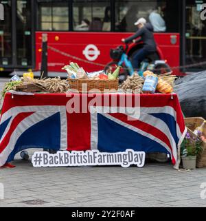 London, Großbritannien. September 2024. Vor dem Back British Farming Day am 11. September hat die National Farmers Union (NFU) einen Massy Ferguson Traktor und eine Ausstellung nach Old Palace Yard, Westminster London, gebracht Stockfoto