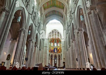 Die lebendige Decke und die große Orgel der Kathedrale von Almudena, ein Meisterwerk gotischer Architektur in Madrid, mit Kunstfertigkeit und spiritueller Bedeutung Stockfoto