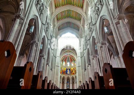 Die lebendige Decke und die große Orgel der Kathedrale von Almudena, ein Meisterwerk gotischer Architektur in Madrid, mit Kunstfertigkeit und spiritueller Bedeutung Stockfoto