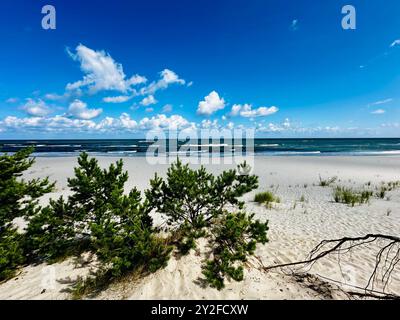 Wunderschöne wilde Strände in Hel Wild Beach in der ostsee. Luftaufnahme der Halbinsel Hel in Polen, Ostsee und Puck Bay. Wilder Strand in Polen Stockfoto