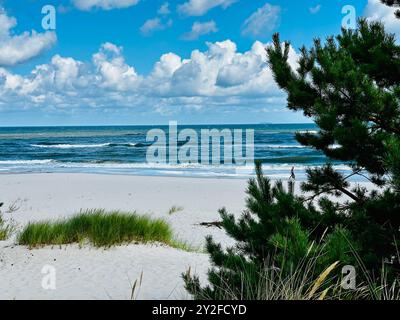 Wunderschöne wilde Strände in Hel Wild Beach in der ostsee. Luftaufnahme der Halbinsel Hel in Polen, Ostsee und Puck Bay. Wilder Strand in Polen Stockfoto