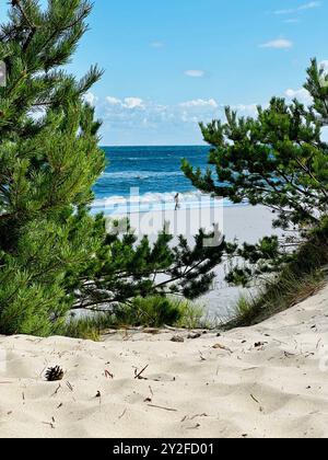 Wunderschöne wilde Strände in Hel Wild Beach in der ostsee. Luftaufnahme der Halbinsel Hel in Polen, Ostsee und Puck Bay. Wilder Strand in Polen Stockfoto