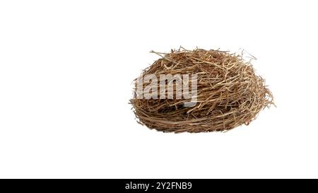 Schneiden Sie das Bild von trockenem Stroh mit Schnittpfaden vor weißem Hintergrund aus, um die Textur und die einzelnen Fäden für ein vielseitiges Design hervorzuheben Stockfoto