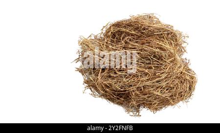 Schneiden Sie das Bild von trockenem Stroh mit Schnittpfaden vor weißem Hintergrund aus, um die Textur und die einzelnen Fäden für ein vielseitiges Design hervorzuheben Stockfoto
