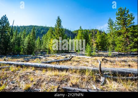 Der Fairy Falls Trail im Yellowstone National Park wandert an einem Herbstnachmittag im Jahr 2024 mit Fotos der Landschaft entlang des Wanderwegs und der Fairy Falls Stockfoto