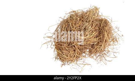 Schneiden Sie das Bild von trockenem Stroh mit Schnittpfaden vor weißem Hintergrund aus, um die Textur und die einzelnen Fäden für ein vielseitiges Design hervorzuheben Stockfoto