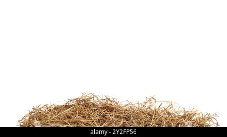 Schneiden Sie das Bild von trockenem Stroh mit Schnittpfaden vor weißem Hintergrund aus, um die Textur und die einzelnen Fäden für ein vielseitiges Design hervorzuheben Stockfoto