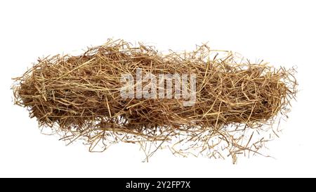 Schneiden Sie das Bild von trockenem Stroh mit Schnittpfaden vor weißem Hintergrund aus, um die Textur und die einzelnen Fäden für ein vielseitiges Design hervorzuheben Stockfoto