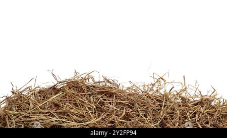 Schneiden Sie das Bild von trockenem Stroh mit Schnittpfaden vor weißem Hintergrund aus, um die Textur und die einzelnen Fäden für ein vielseitiges Design hervorzuheben Stockfoto