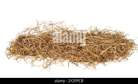 Schneiden Sie das Bild von trockenem Stroh mit Schnittpfaden vor weißem Hintergrund aus, um die Textur und die einzelnen Fäden für ein vielseitiges Design hervorzuheben Stockfoto