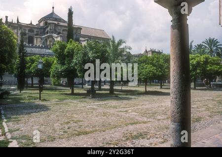 1989 Archivfoto der Moschee-Kathedrale von Córdoba vom Patio de los Naranjos in Cordoba, Südspanien. Stockfoto