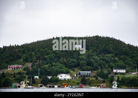 Dildo-Stadtschild im Hollywood-Stil, das in Neufundland & Labrador, Kanada, sichtbar ist Stockfoto