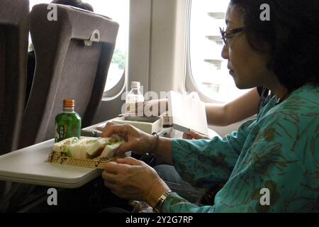 Das tägliche Leben. Shinkansen Zug. Tokio. Japan Stockfoto