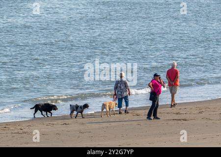 Drei ältere Hundebesitzer laufen im Sommer mit ihren freigelassenen Hunden entlang der Küste am Sandstrand Stockfoto