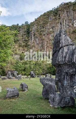 Leang Leang Geopark in Maros, Makassar, Süd-Sulawesi, Indonesien, Asien Stockfoto