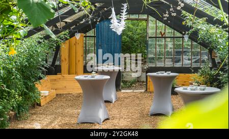 Hochzeitsempfang im bezaubernden Gewächshaus: Eine rustikale Landfeier Stockfoto